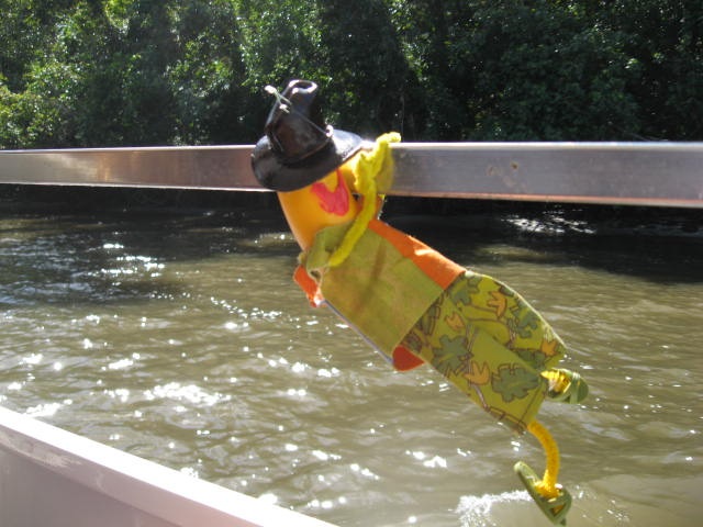 [DAINTREE1182.jpg]