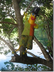 DAINTREE 042