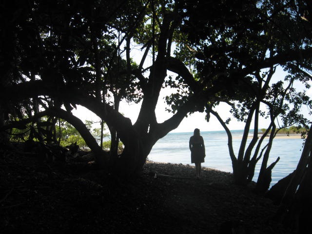 [DAINTREE0362.jpg]
