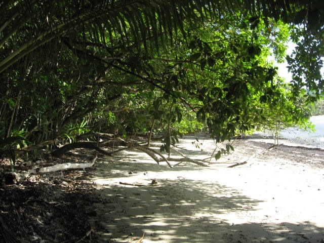 [DAINTREE0492.jpg]