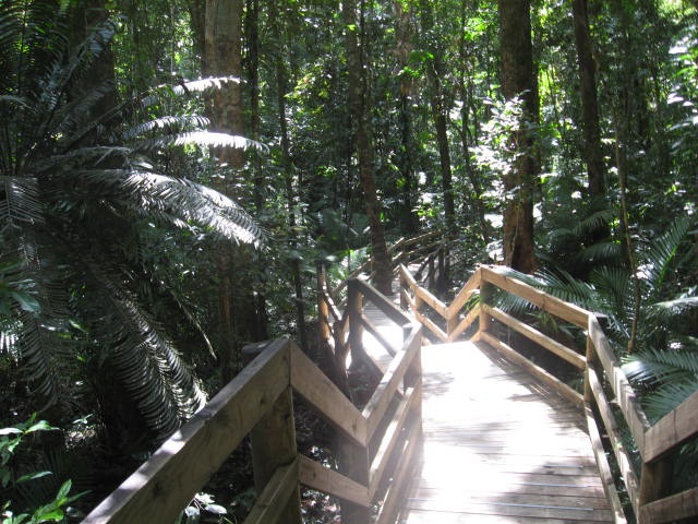 [DAINTREE0822.jpg]