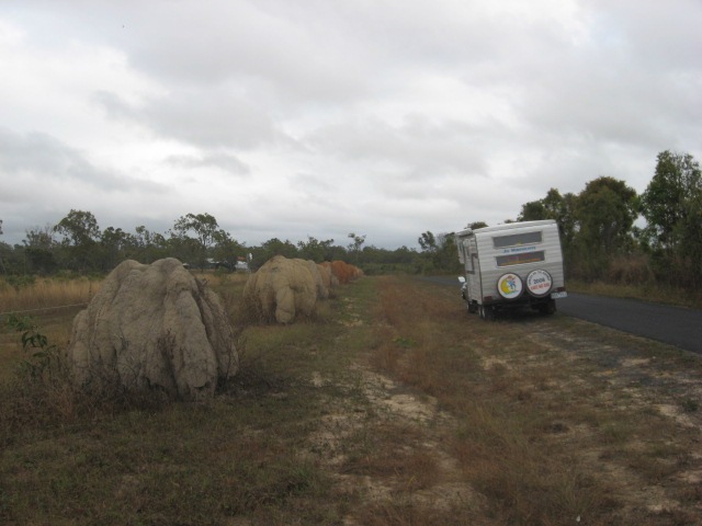 [MAREEBA0192.jpg]