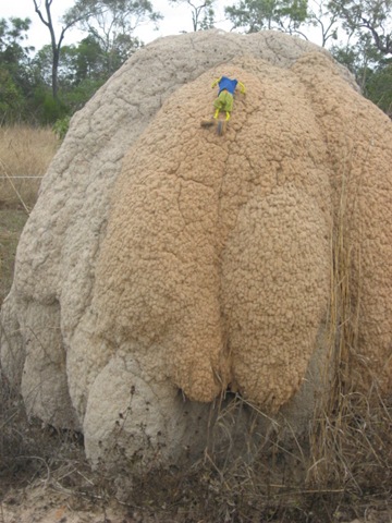 [MAREEBA0232.jpg]
