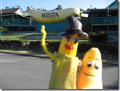 THE BIG BANANA 020