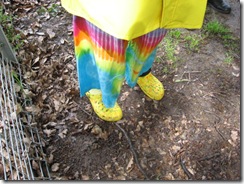 YELLOW DAY 015