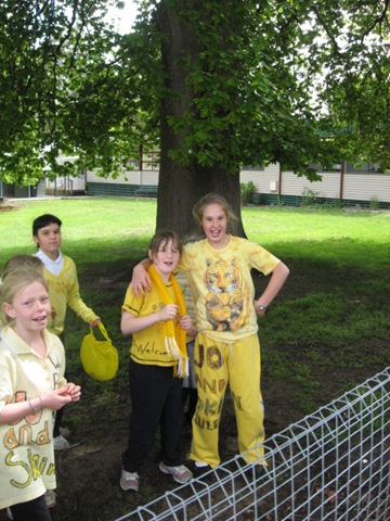 [YELLOWDAY0062.jpg]