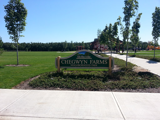 Chegwyn Farm Park