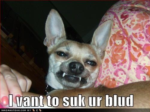 [suk_ur_blud[3].jpg]