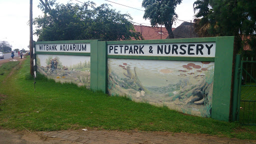 Witbank Aquarium Entrance Mural