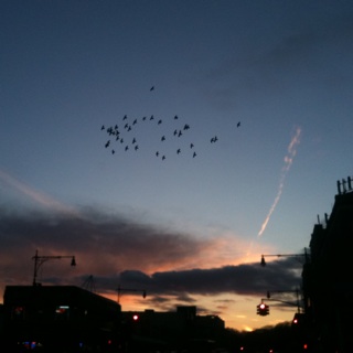 Spotting Image 1