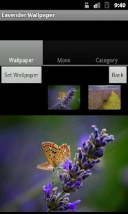 How to install Lavender Wallpaper 1.0.1 apk for pc