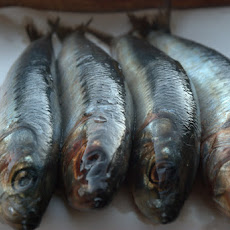 Sardines en Escabeche with Fresh Tarragon
