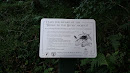 'Ridge to the River' Project Information Board
