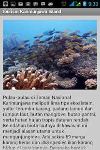 How to install Karimunjawa Tourism Indonesia patch 1.01 apk for bluestacks