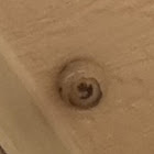 Unknown spotting