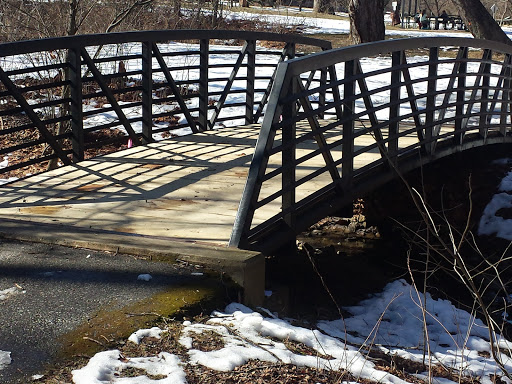 Bridge In Historic Laurel Park