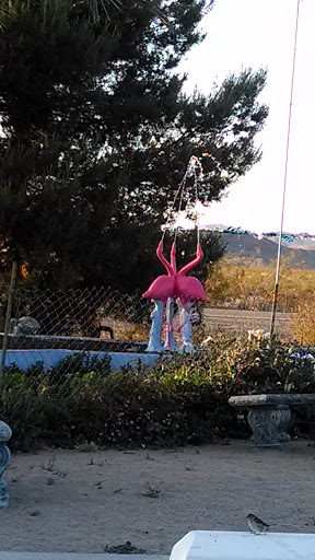 Flamingo Fountain