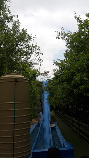 Bugs Park Water Slide