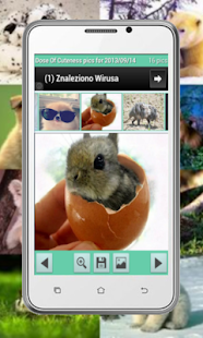How to get Daily dose of cuteness 1.1 unlimited apk for android