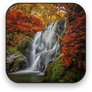 Autumn Live Wallpaper.apk 14