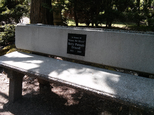 Betty Driscoll Memorial Stone Bench
