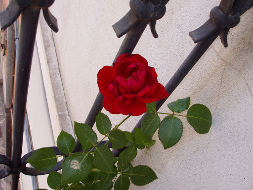 PA290006.JPG