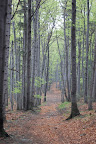 DSC_0055.JPG734647576