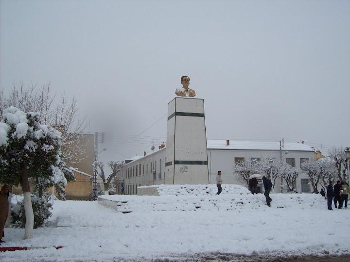 Photo%20109.jpg