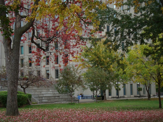 [DSC01826[2].jpg]