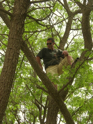 [08 tree climbing  Booki[8].jpg]