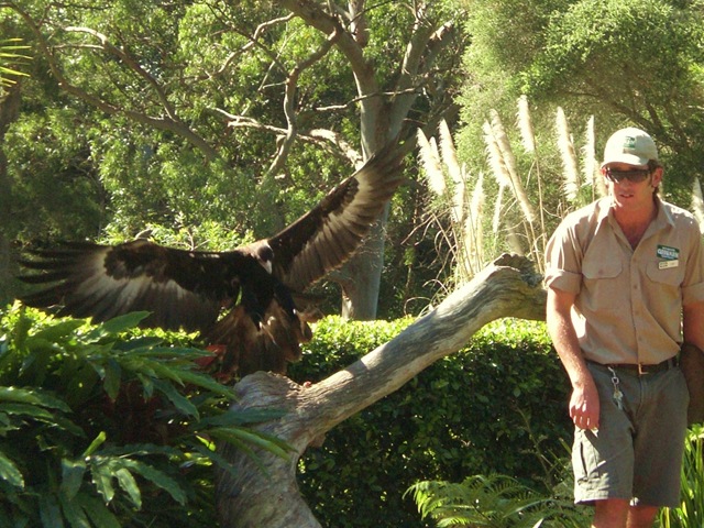 [76 currumbin eagle[4].jpg]