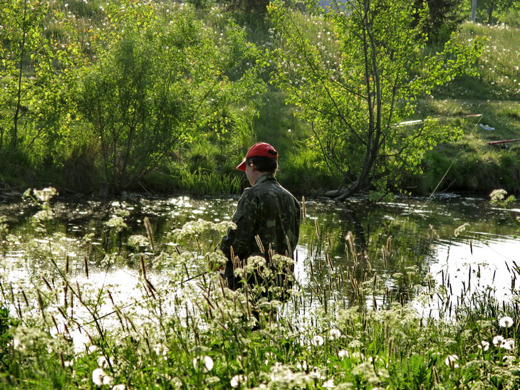 Fisher