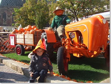 Bolzano Festa della zucca! 011