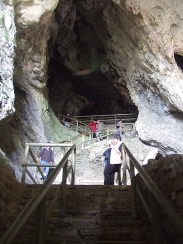 [DSCF50233.jpg]