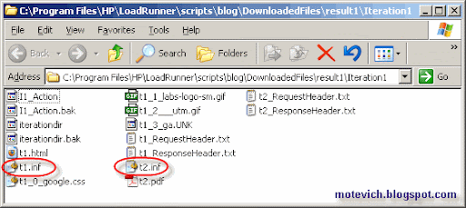 LoadRunner script files