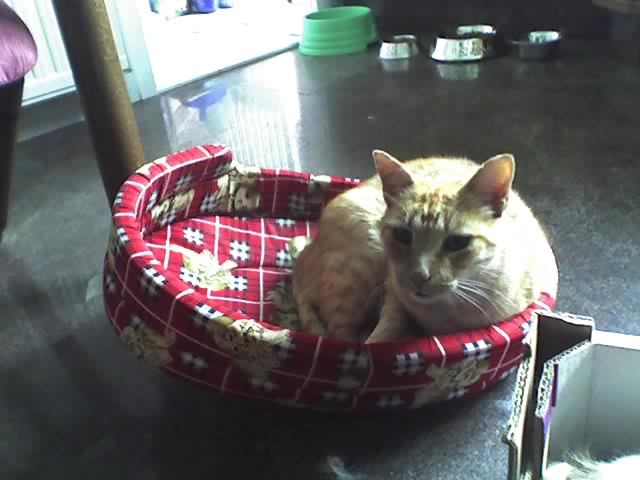 02-10-08_1401.jpg