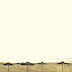 Desserted Beach