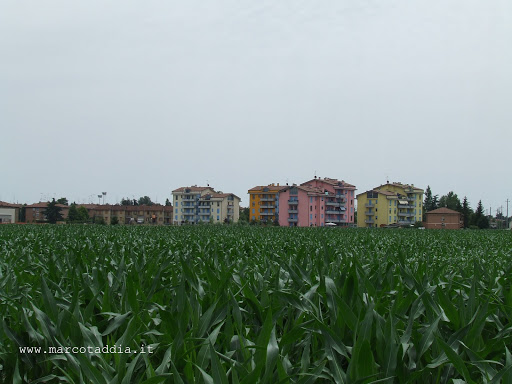 Corte Centese il 01/06/2008 Corte Centese il 01/06/2008