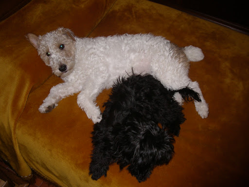 IMGP1244.JPG