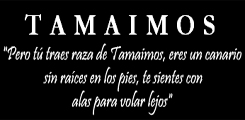 Tamaimos