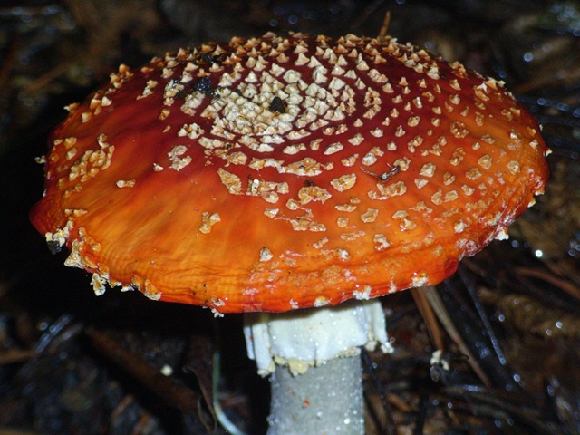 [RIMG0011[4].jpg]