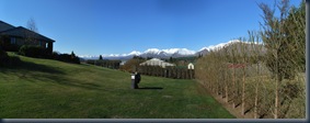 RIMG0009 Stitch