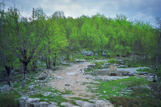 Zbiornik na deszcz�wk�