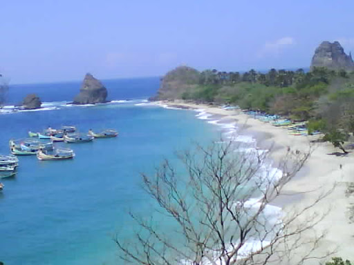 Pantai Tanjung Papuma dari atas 