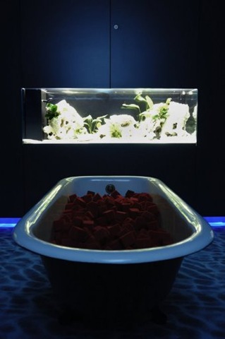 [161_F2_waterlounge2.jpg]