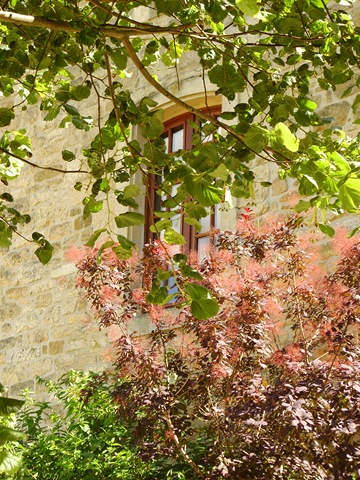 [SanvignacDordogne392.jpg]