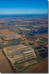 corowa - piggery