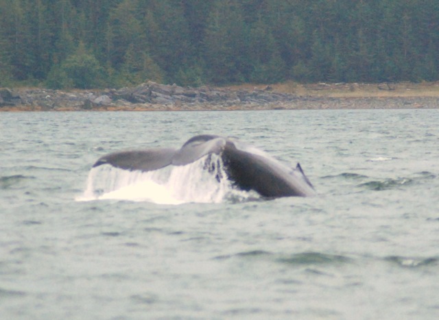 [Alaska 0908 080[2].jpg]