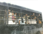 deportation truck.jpg