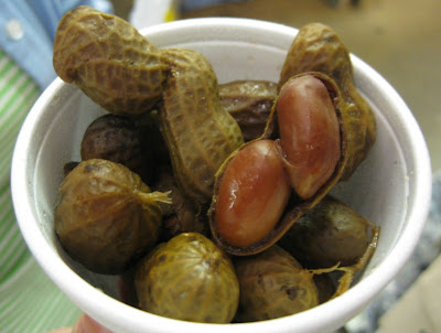 Boiled Peanuts at the WNC Farmer's Market near Asheville, North Carolina